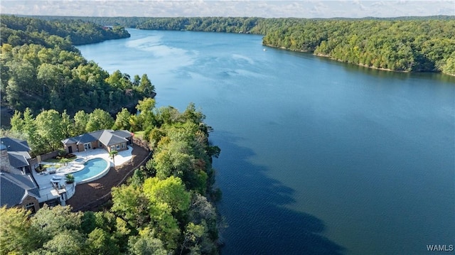 1231 Diamond Point Cir, Tuscaloosa, AL 35406 - bird's eye view featuring a forest view and a water view