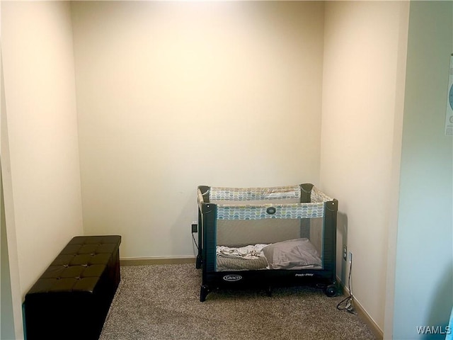 5211 Briarcliff Dr, Northport, AL 35473 - bedroom featuring carpet flooring