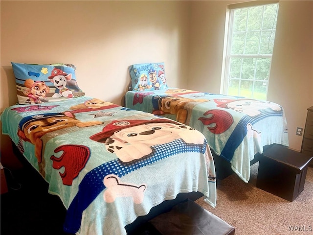 5211 Briarcliff Dr, Northport, AL 35473 - bedroom with carpet flooring