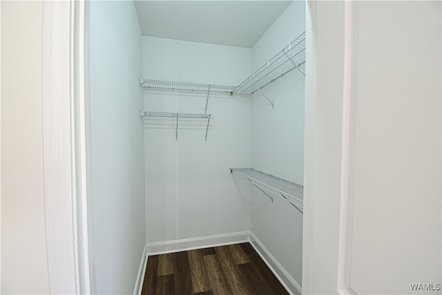 walk in closet featuring dark hardwood / wood-style flooring