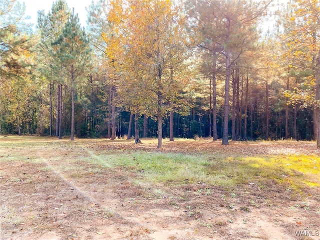 15201 Jackson Trace Rd, Coker AL, 35452 land for sale