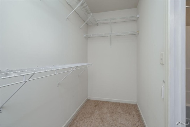 walk in closet featuring light carpet