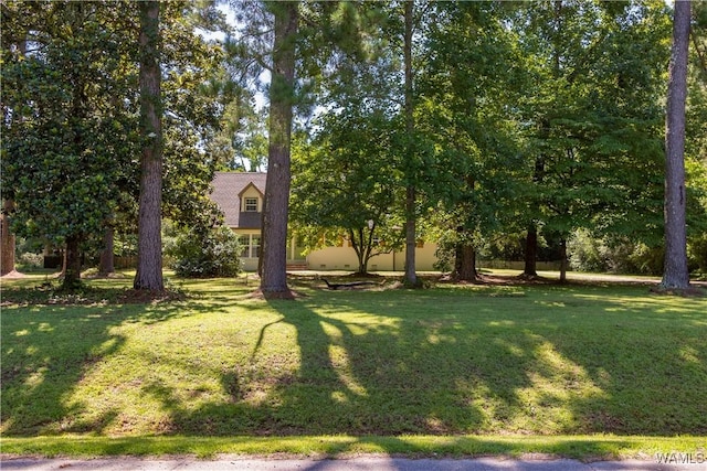 115 Smith Ave, Livingston, AL 35470 - photo 30