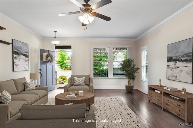 9437 Crete Cir, Tuscaloosa, AL 35406 - living area featuring plenty of natural light, wood finished floors, crown molding, and a ceiling fan