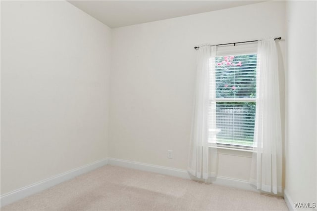 9437 Crete Cir, Tuscaloosa, AL 35406 - spare room with light carpet and healthy amount of natural light