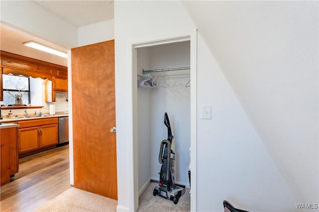 closet featuring sink