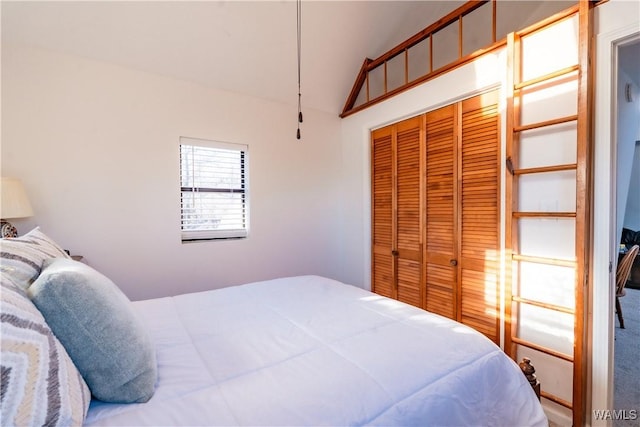 bedroom with vaulted ceiling and a closet