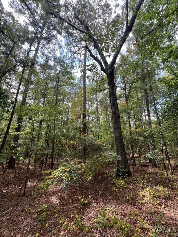 0 Jim Jones Rd, Cottondale AL, 35453 land for sale