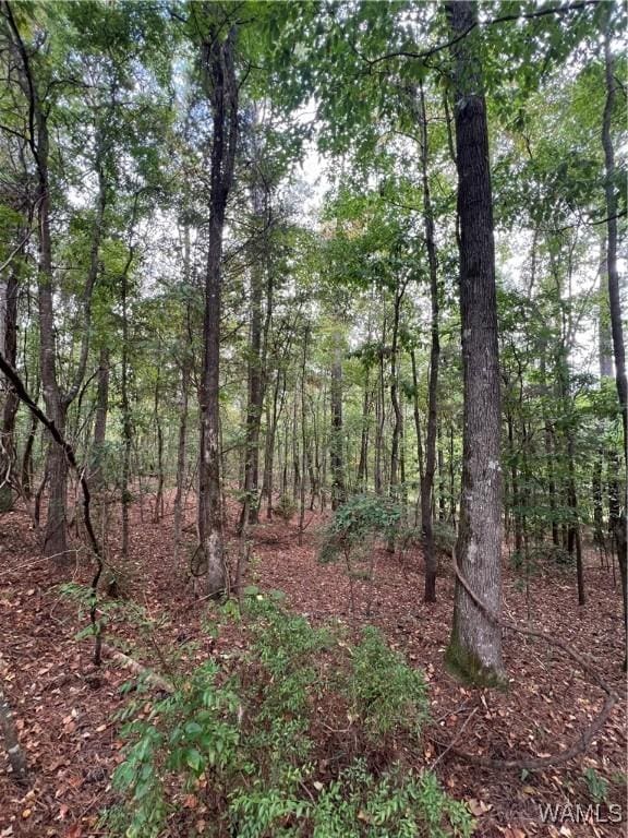 Listing photo 2 for 0 Jim Jones Rd, Cottondale AL 35453