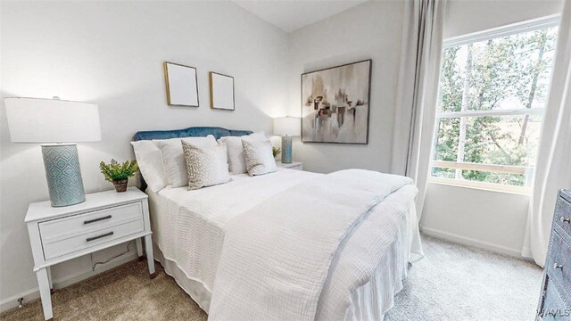 9331 Havenridge Loop, Tuscaloosa, AL 35405 - photo 15