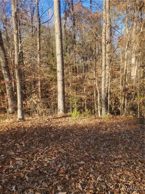 4018 Brookhill Rd, Tuscaloosa AL, 35404 land for sale