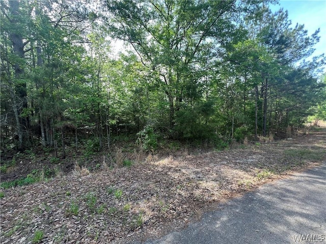 Listing photo 3 for 0 Hobby Horse Rd, Vance AL 35490