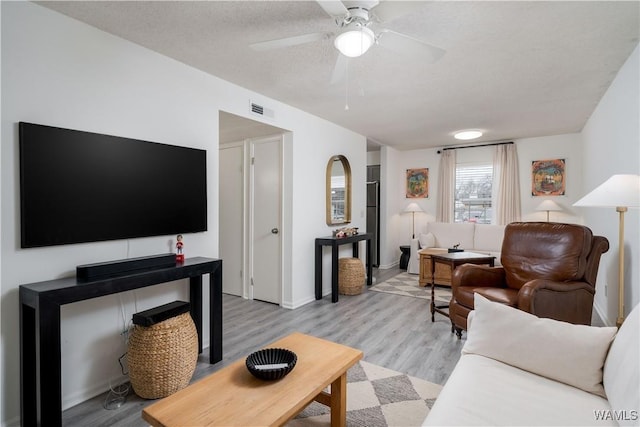 1009 12th St Unit 19, Tuscaloosa, AL 35401 - living room with light wood finished floors and ceiling fan