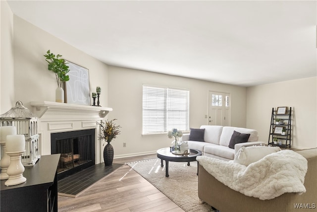 living room featuring wood-type flooring