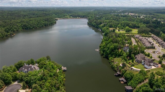 1708 Sunrise Pointe Way, Tuscaloosa, AL 35406 - photo 13
