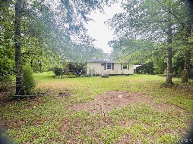 view of yard featuring a carport