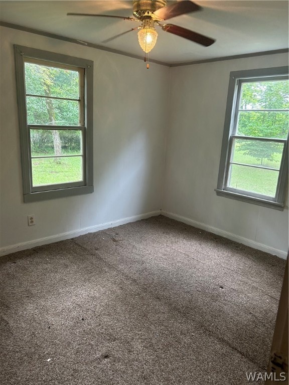 unfurnished room with carpet, ceiling fan, and a wealth of natural light