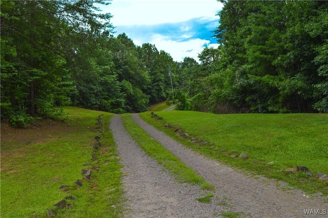 18542 Crisstown Rd, Vance, AL 35490 - photo 53