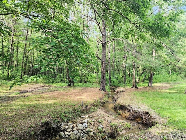 14541 Keenes Mill Rd, Coaling, AL 35453 - view of wooded area