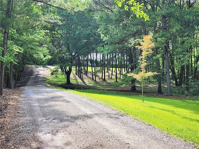 14541 Keenes Mill Rd, Coaling, AL 35453 - view of street featuring a view of trees