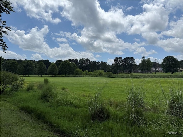 6106 Championship Dr, Tuscaloosa, AL 35405 - photo 12