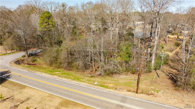 00 55th Ave E, Tuscaloosa, AL 35404 - photo 4
