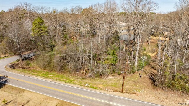 00 55th Ave E, Tuscaloosa, AL 35404 - photo 3