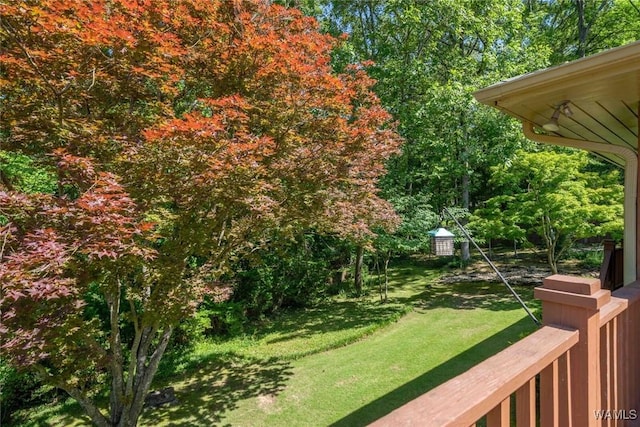 5204 Dove Creek Ave, Northport, AL 35473 - view of grassy yard