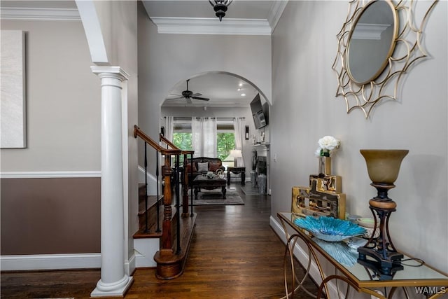 3938 Versailles Ln, Tuscaloosa, AL 35406 - photo 4