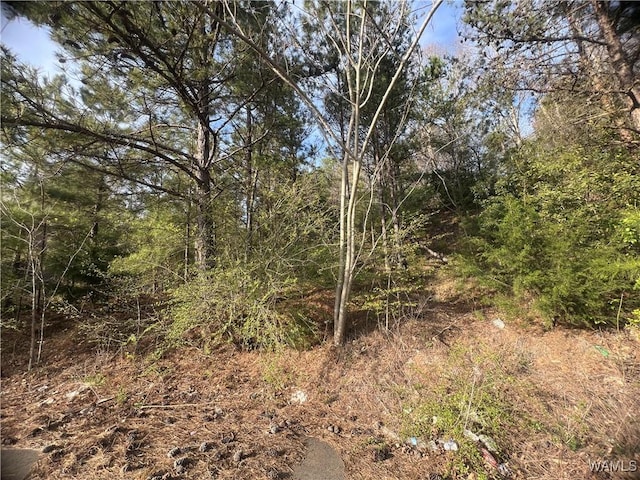 0 Lexie Ln, Brookwood AL, 35444 land for sale