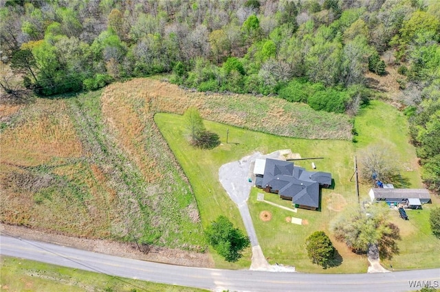 11734 Bull Slough Rd, Northport, AL 35475 - photo 6