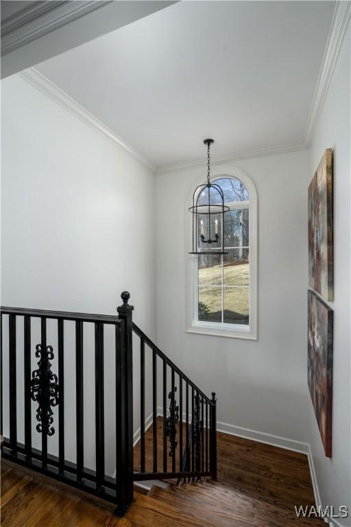 1901 Point Clear Rd, Tuscaloosa, AL 35406 - photo 42