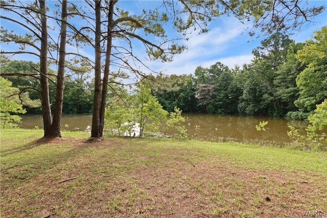 view of yard featuring a water view