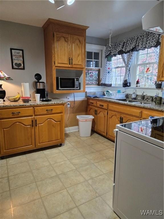 kitchen with exhaust hood, range with electric stovetop, and sink