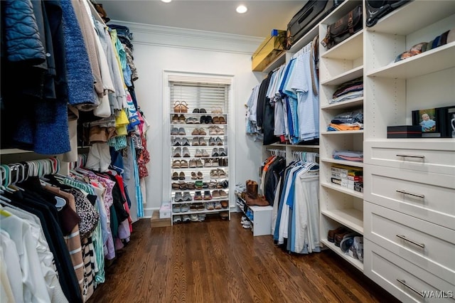 1901 Point Clear Rd, Tuscaloosa, AL 35406 - spacious closet with dark wood-style floors
