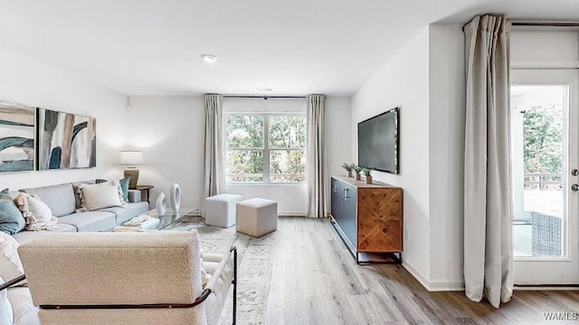 living room with light hardwood / wood-style flooring