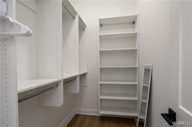 walk in closet with dark hardwood / wood-style floors