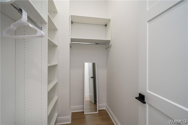 spacious closet featuring dark hardwood / wood-style flooring