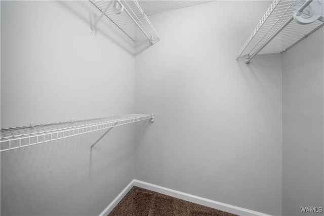 6521 Ash Hill Dr, Tuscaloosa, AL 35405 - photo 21