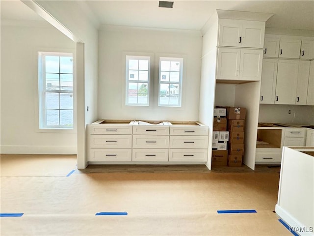 kitchen featuring white cabinetry, ornamental molding, and a wealth of natural light