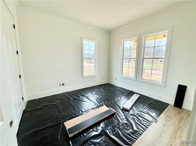 spare room featuring ornamental molding