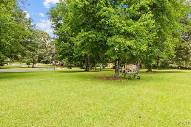 15551 Oakwood Dr, Brookwood, AL 35444 - view of grassy yard featuring view of wooded area