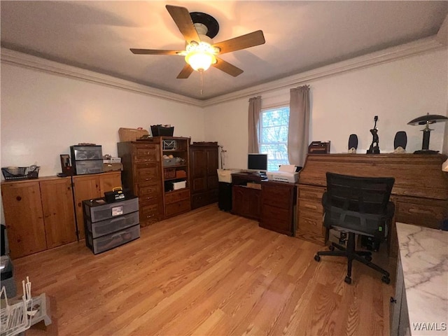 office space with light wood-style floors, crown molding, and ceiling fan