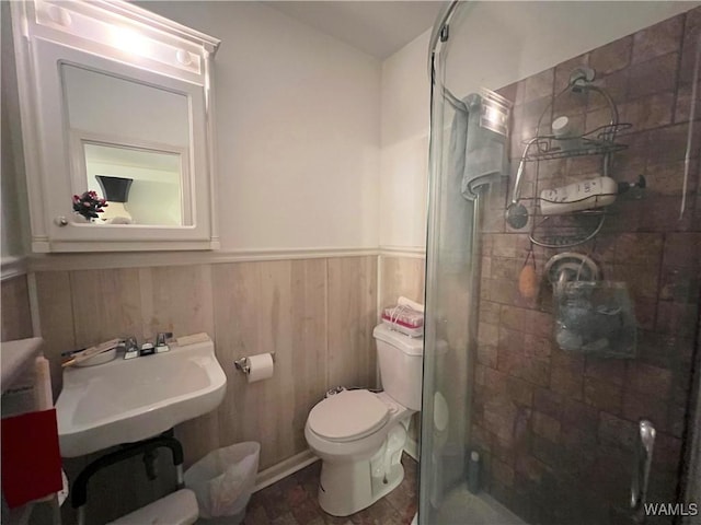 bathroom with a stall shower, a wainscoted wall, a sink, and toilet