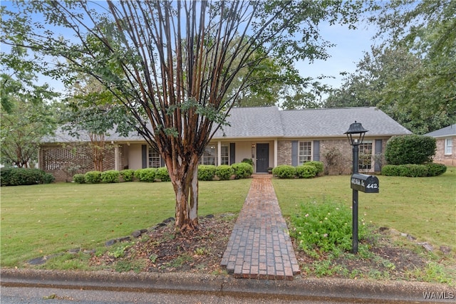 ranch-style home with a front yard