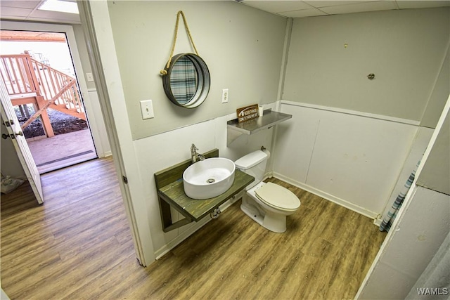 bathroom with toilet, wood-type flooring, sink, and a drop ceiling