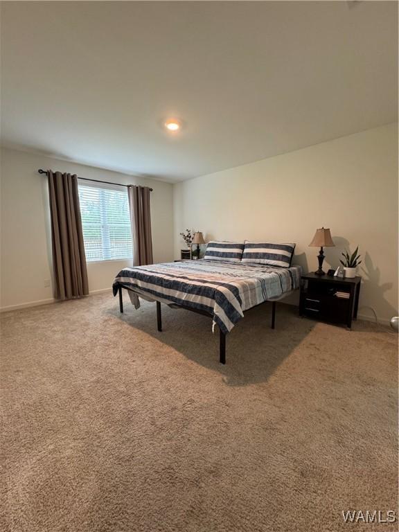 9261 Cotton Fields Cir, Tuscaloosa, AL 35405 - photo 18