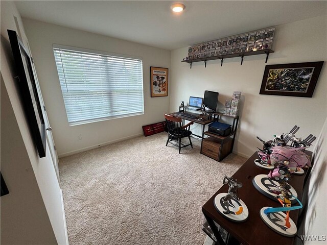 9261 Cotton Fields Cir, Tuscaloosa, AL 35405 - photo 8