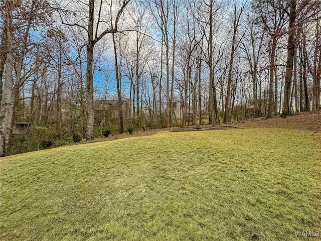 1851 Russet Woods Ln, Hoover, AL 35244 - view of grassy yard