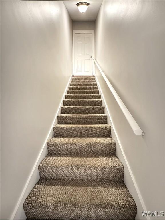 1851 Russet Woods Ln, Hoover, AL 35244 - staircase featuring carpet and baseboards
